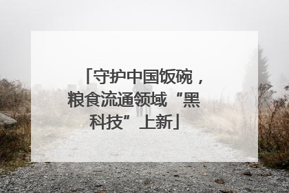 守护中国饭碗，粮食流通领域“黑科技”上新
