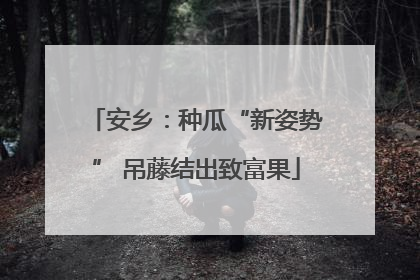 安乡：种瓜“新姿势” 吊藤结出致富果