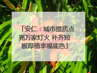 安仁：城市提质点亮万家灯火 补齐短板厚植幸福底色