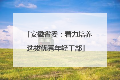 安徽省委：着力培养选拔优秀年轻干部