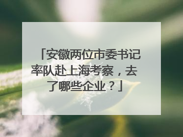 安徽两位市委书记率队赴上海考察，去了哪些企业？