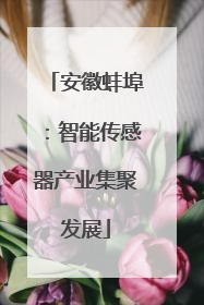 安徽蚌埠：智能传感器产业集聚发展