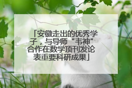 安徽走出的优秀学子，与导师“韦神”合作在数学顶刊发论表重要科研成果