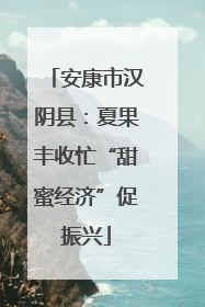 安康市汉阴县：夏果丰收忙“甜蜜经济”促振兴