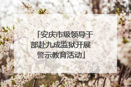 安庆市级领导干部赴九成监狱开展警示教育活动