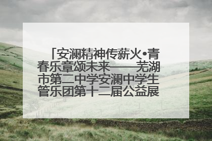 安澜精神传薪火•青春乐章颂未来——芜湖市第二中学安澜中学生管乐团第十二届公益展演圆满举行