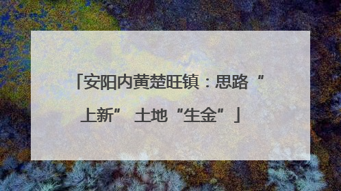安阳内黄楚旺镇：思路“上新” 土地“生金”