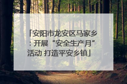 安阳市龙安区马家乡：开展“安全生产月”活动 打造平安乡镇