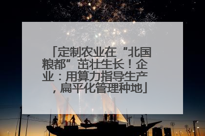 定制农业在“北国粮都”茁壮生长！企业：用算力指导生产，扁平化管理种地