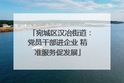 宛城区汉冶街道：党员干部进企业 精准服务促发展