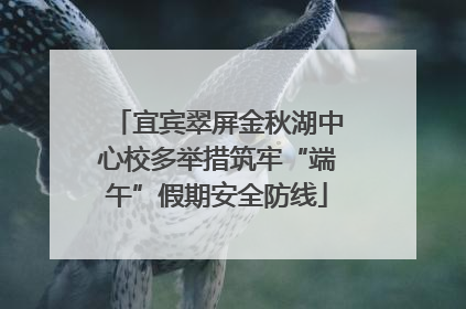 宜宾翠屏金秋湖中心校多举措筑牢“端午”假期安全防线