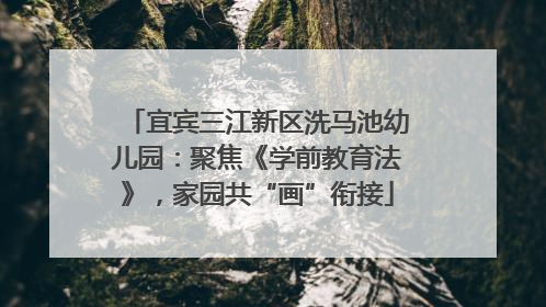 宜宾三江新区洗马池幼儿园：聚焦《学前教育法》，家园共“画”衔接