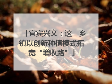 宜宾兴文：这一乡镇以创新种植模式拓宽“增收路”