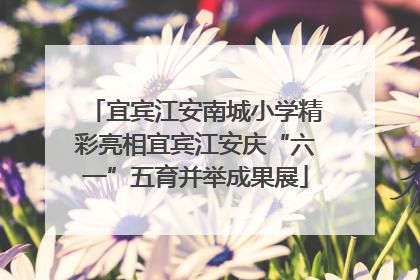 宜宾江安南城小学精彩亮相宜宾江安庆“六一”五育并举成果展