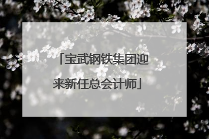 宝武钢铁集团迎来新任总会计师