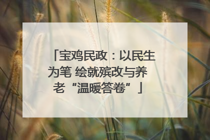 宝鸡民政：以民生为笔 绘就殡改与养老“温暖答卷”