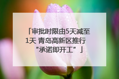 审批时限由5天减至1天 青岛高新区推行“承诺即开工”