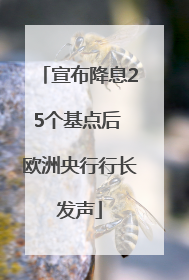 宣布降息25个基点后 欧洲央行行长发声