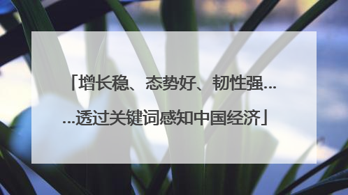 增长稳、态势好、韧性强……透过关键词感知中国经济