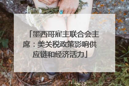 墨西哥雇主联合会主席：美关税政策影响供应链和经济活力