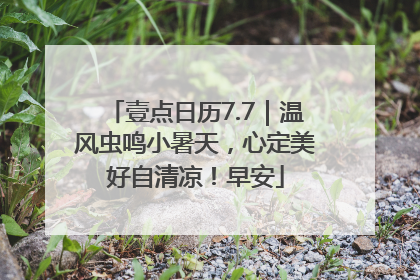 壹点日历7.7｜温风虫鸣小暑天，心定美好自清凉！早安