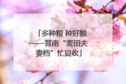 多种粮 种好粮——晋南“麦田夫妻档”忙夏收