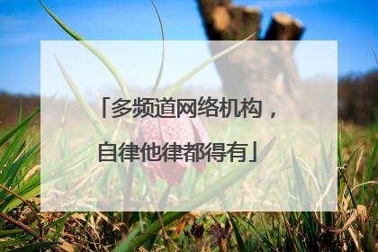 多频道网络机构，自律他律都得有