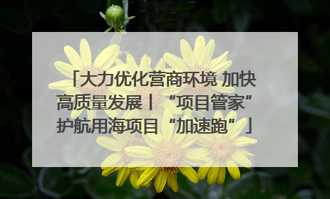大力优化营商环境 加快高质量发展丨“项目管家”护航用海项目“加速跑”