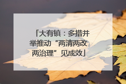 大有镇：多措并举推动“两清两改两治理”见成效