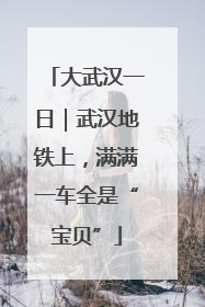大武汉一日｜武汉地铁上，满满一车全是“宝贝”
