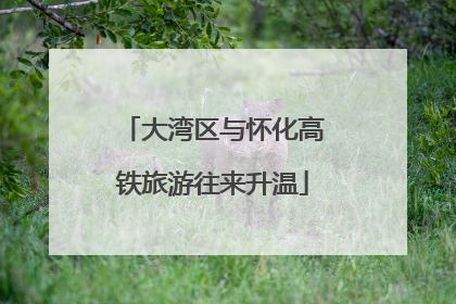 大湾区与怀化高铁旅游往来升温