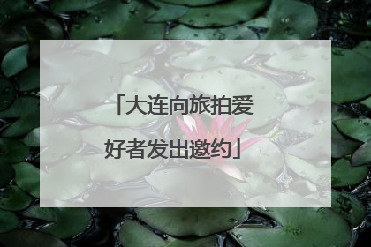 大连向旅拍爱好者发出邀约