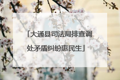大通县司法局排查调处矛盾纠纷惠民生