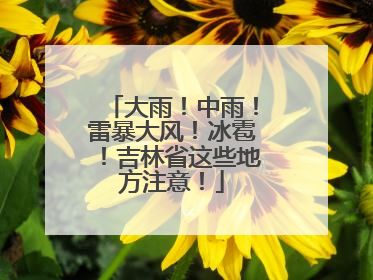 大雨！中雨！雷暴大风！冰雹！吉林省这些地方注意！