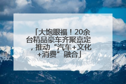 大饱眼福！20余台精品豪车齐聚嘉定，推动“汽车+文化+消费”融合