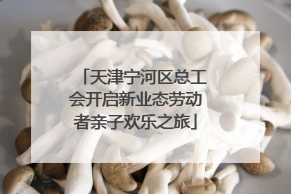 天津宁河区总工会开启新业态劳动者亲子欢乐之旅