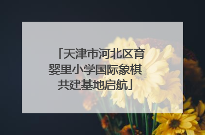 天津市河北区育婴里小学国际象棋共建基地启航