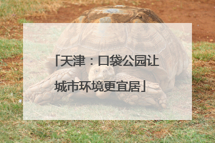 天津：口袋公园让城市环境更宜居