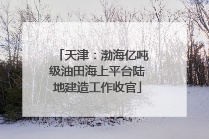 天津：渤海亿吨级油田海上平台陆地建造工作收官