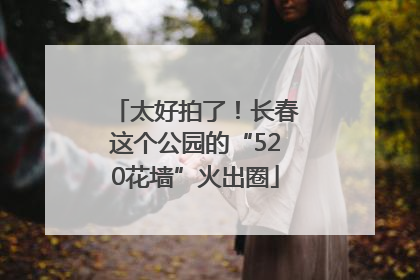 太好拍了！长春这个公园的“520花墙”火出圈