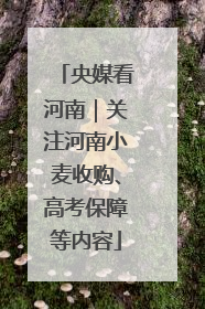 央媒看河南｜关注河南小麦收购、高考保障等内容