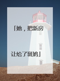 她，把新房让给了斑鸠