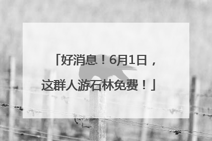好消息！6月1日，这群人游石林免费！