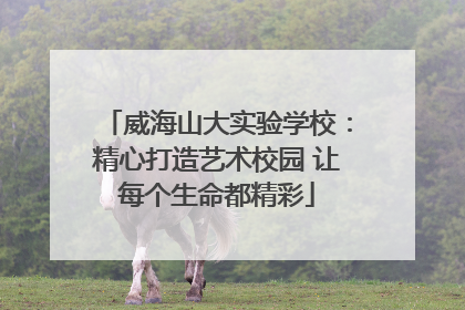 威海山大实验学校：精心打造艺术校园 让每个生命都精彩