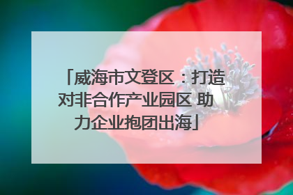 威海市文登区：打造对非合作产业园区 助力企业抱团出海