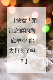 快看！荆江之畔的海底星空 你去打卡了吗？