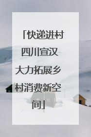 快递进村 四川宣汉大力拓展乡村消费新空间