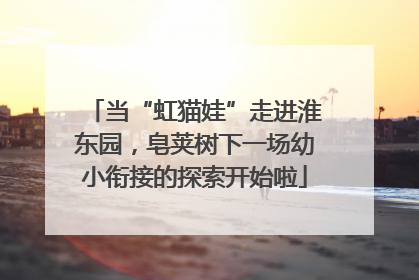 当“虹猫娃”走进淮东园，皂荚树下一场幼小衔接的探索开始啦