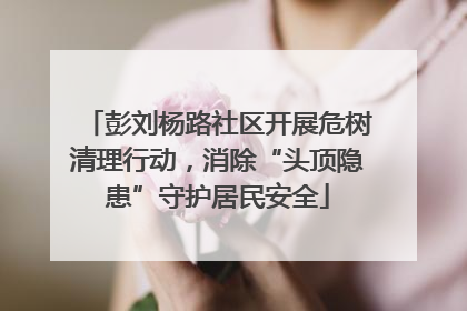 彭刘杨路社区开展危树清理行动，消除“头顶隐患”守护居民安全
