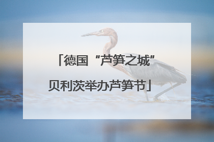 德国“芦笋之城”贝利茨举办芦笋节